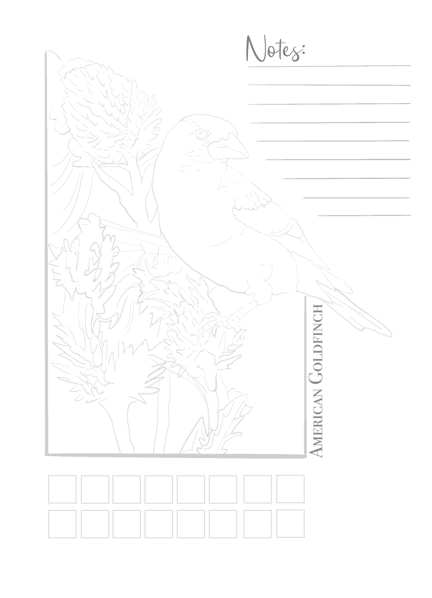 Painting Passports™ North American Songbirds Edition I